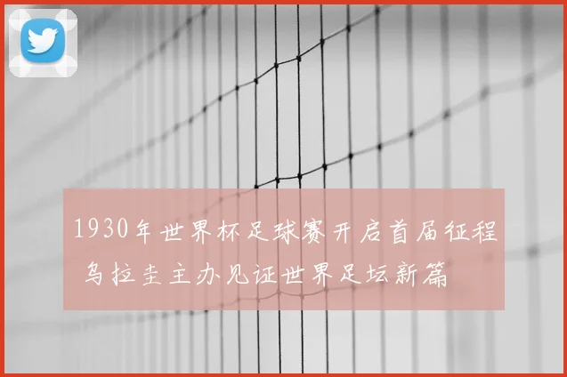 1930年世界杯足球赛开启首届征程 乌拉圭主办见证世界足坛新篇